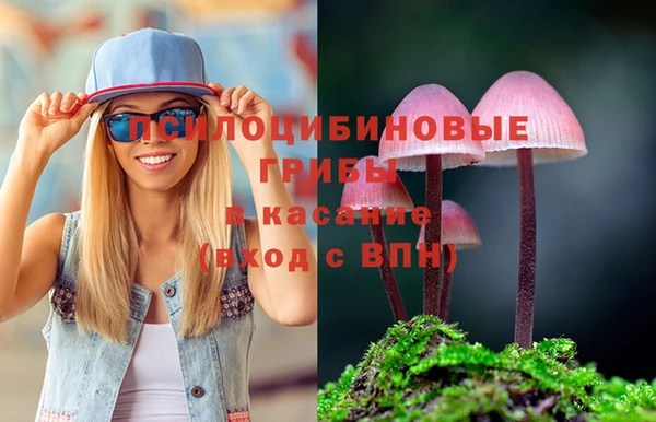 ALPHA-PVP Алексин