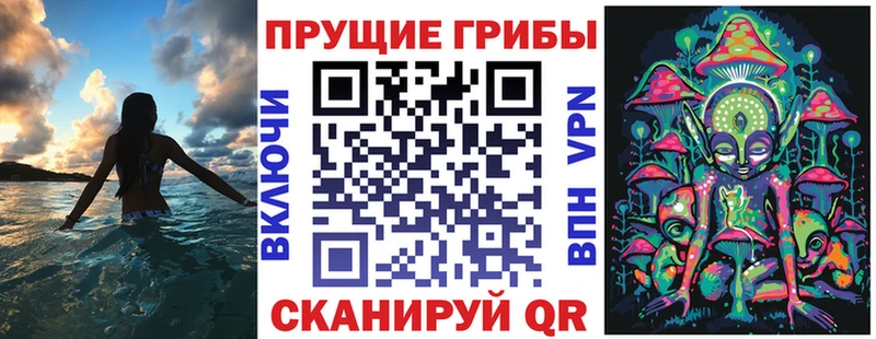 наркота  Бирюч  Галлюциногенные грибы MAGIC MUSHROOMS 